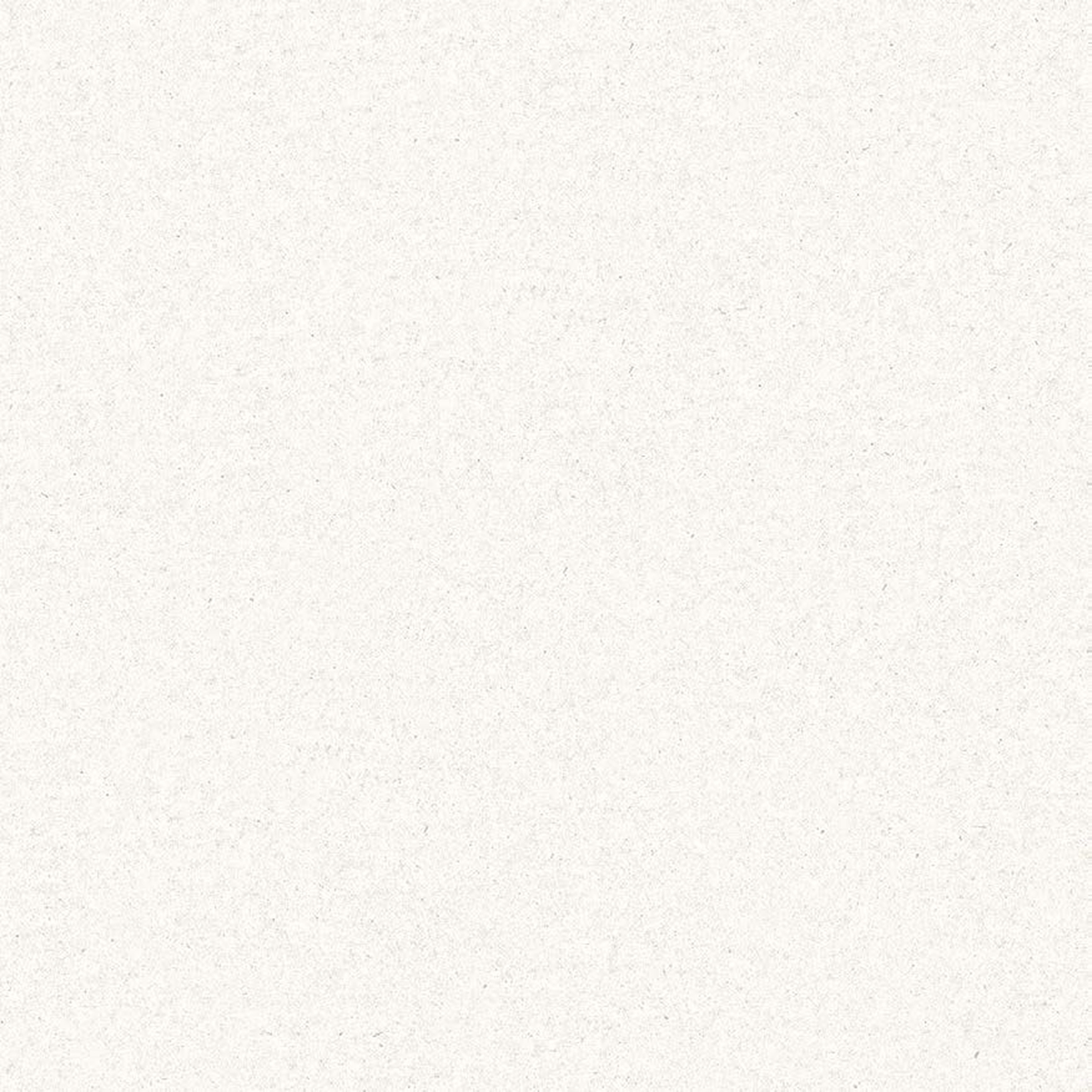 PE CP 9011MS - ASTI WHITE